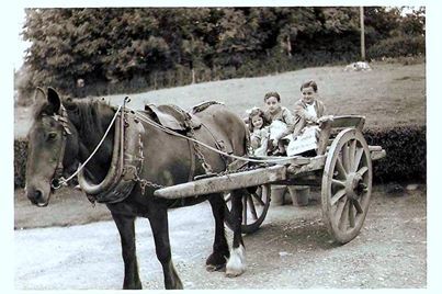Jame's horse and cart