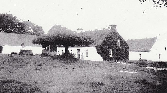 House in Ballyshea